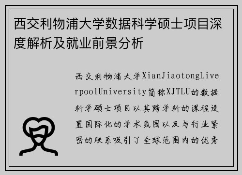 西交利物浦大学数据科学硕士项目深度解析及就业前景分析